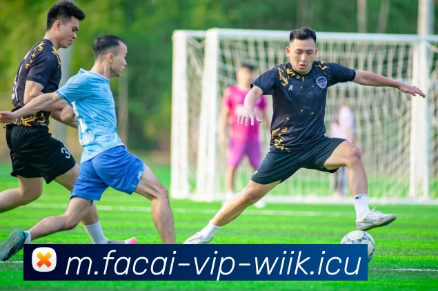 MK体育品牌故事