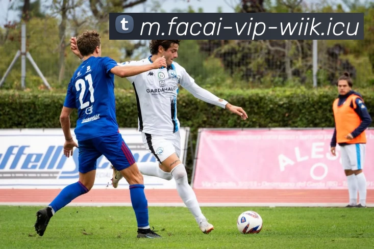 MK体育APP 体育赛事宣传图